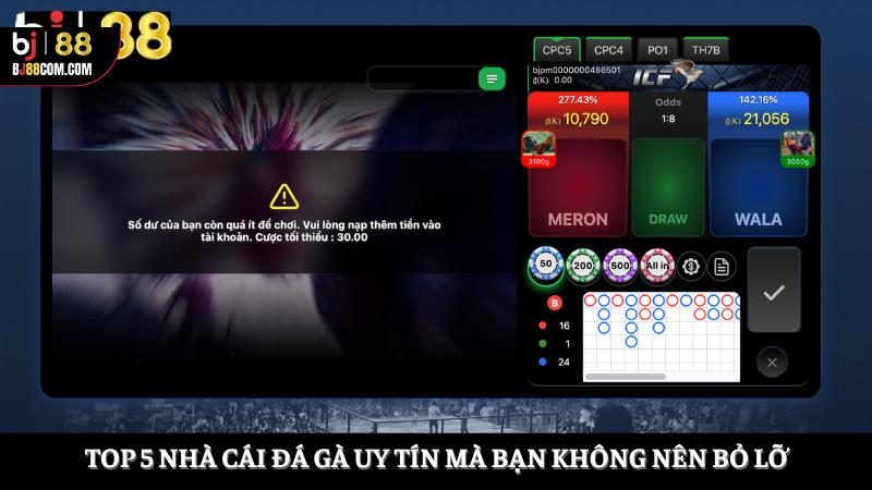 nhà cái đá gà uy tín