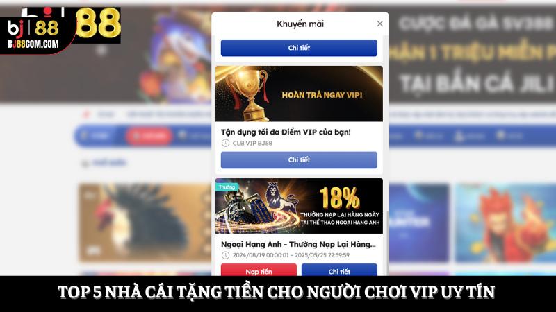 nhà cái tặng tiền cho người chơi VIP