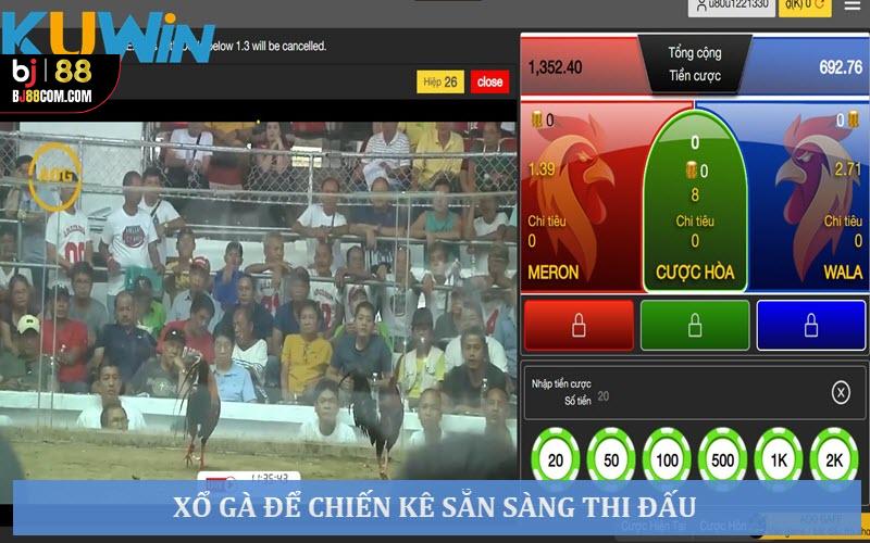 Đá Gà Xổ Là Gì? Bí Kíp Xổ Gà “Trăm Trận Trăm Thắng”